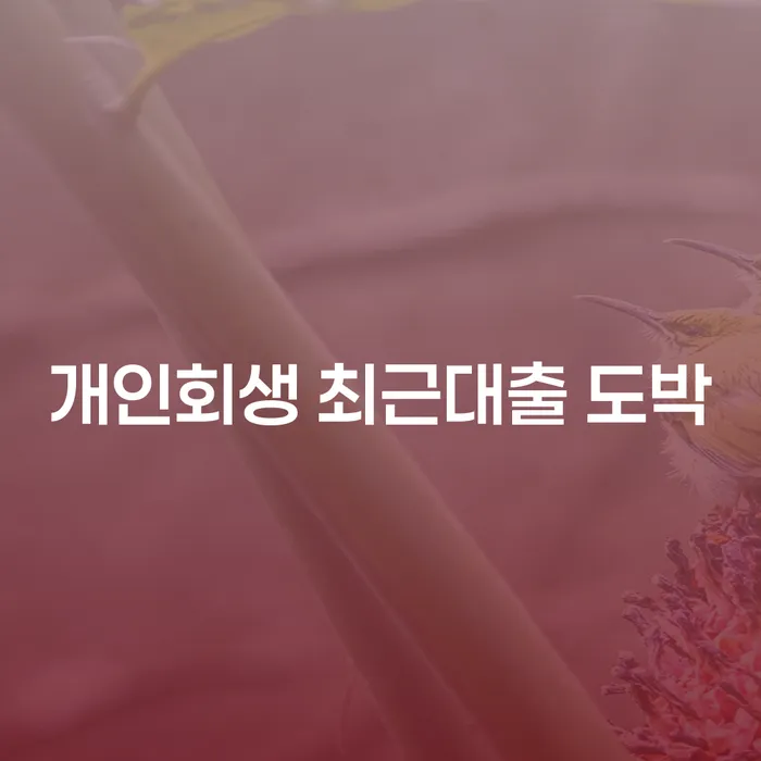 개인회생법률사무소 워크아웃 채무조정제도를 이용