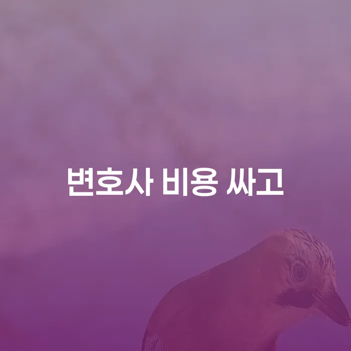 개인회생수임료 분납가능하고 대출 받은 돈채무조정 해결하기