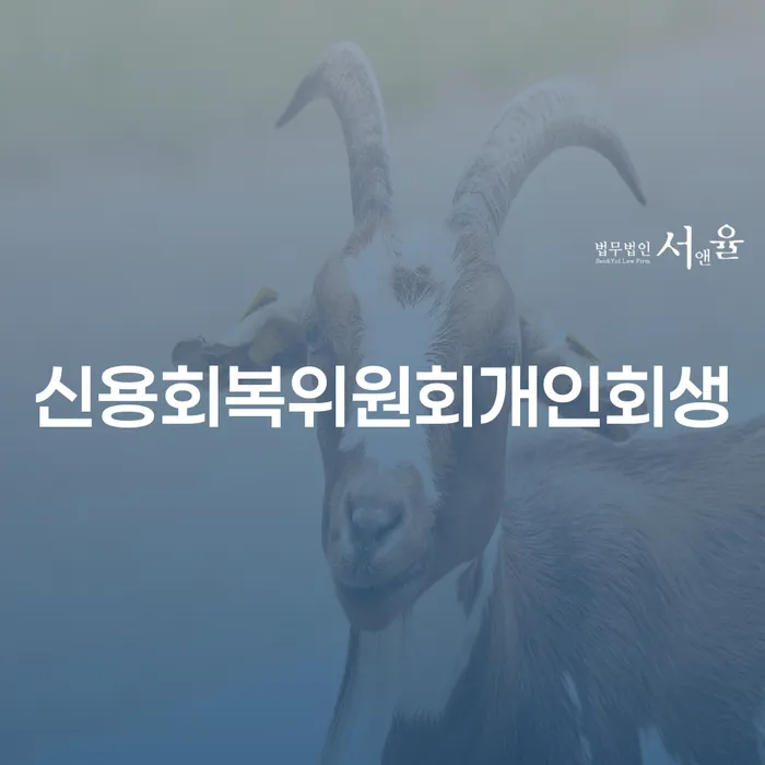 개인회생소득 채무 효과적인 해결방법 선택을 어떻게..