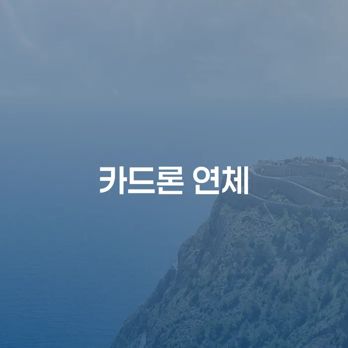 개인회생 변호사 비용 무이자 자체 분납 가능하고 개인회생 문제해결방법 이렇게 됩니다.