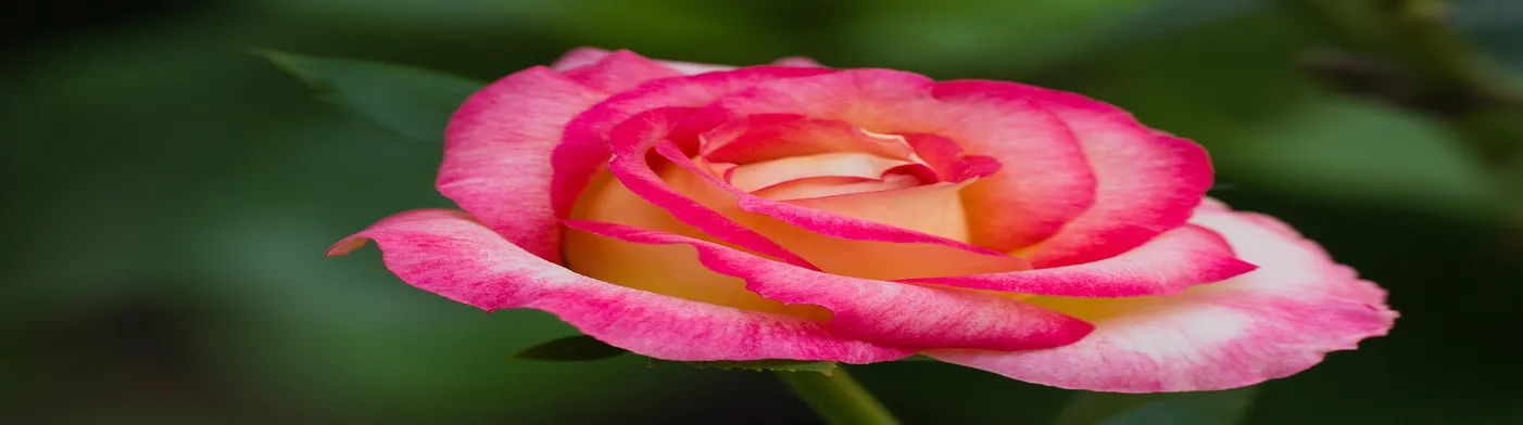 법무법인 서앤율