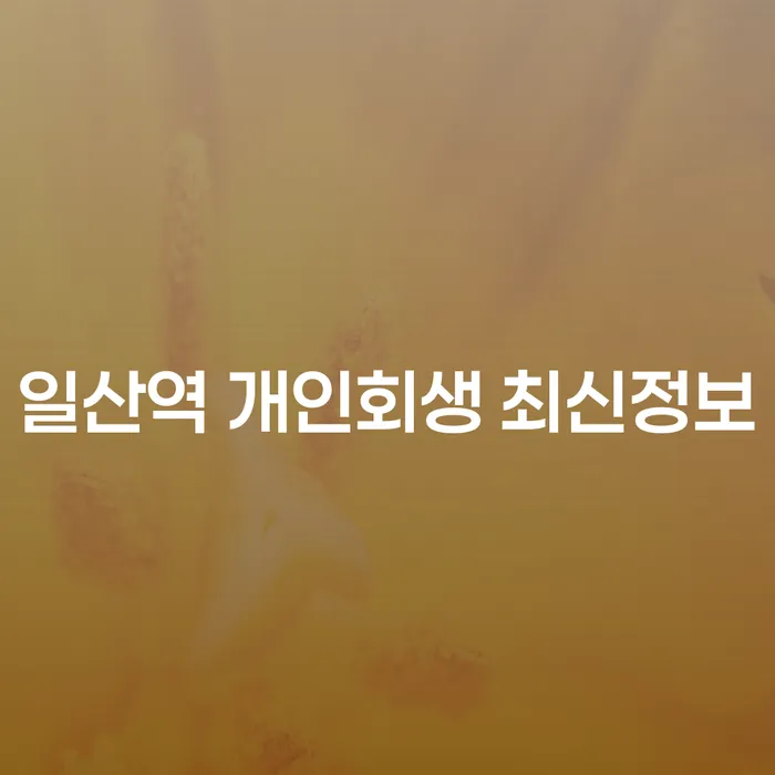 일산역 개인회생 최신정보