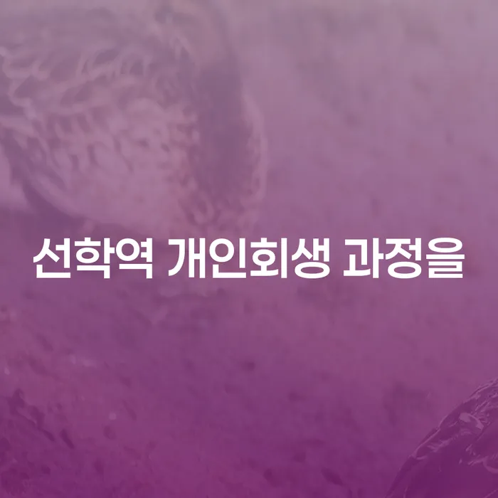 선학역 개인회생 과정을
