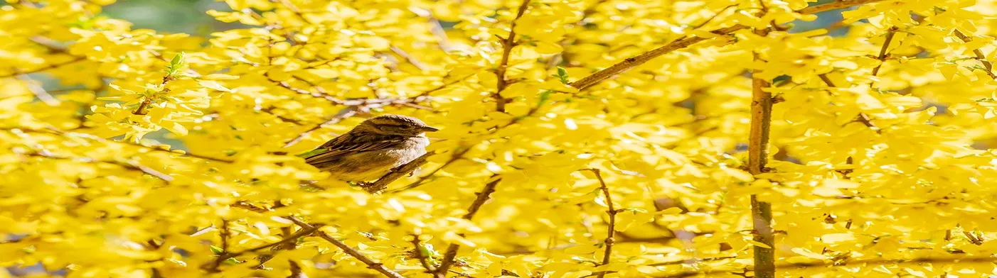 법무법인 서앤율