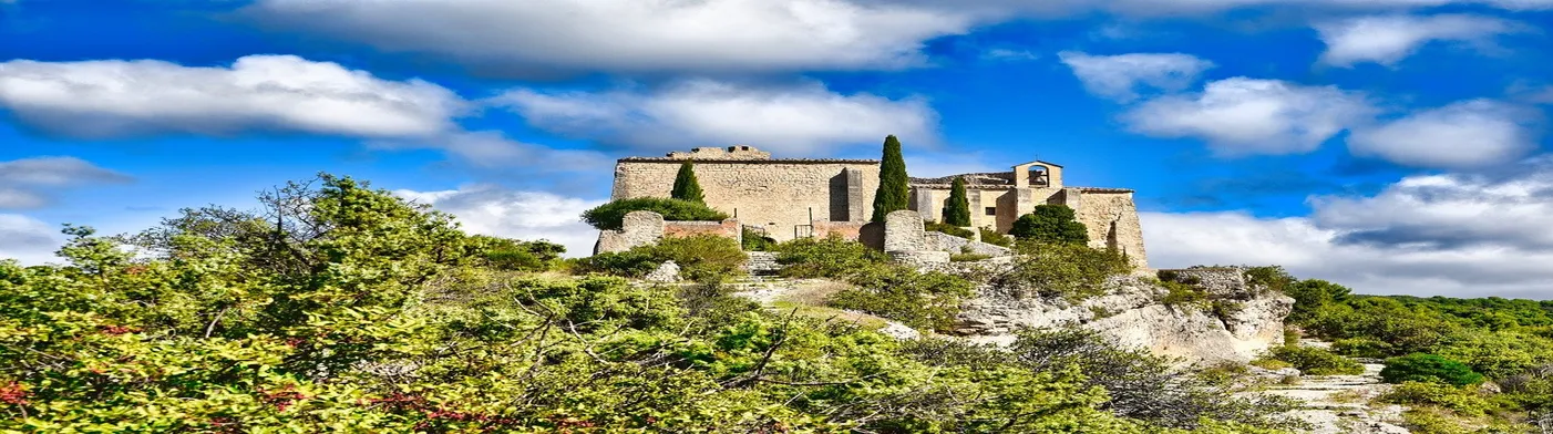 법무법인 서앤율