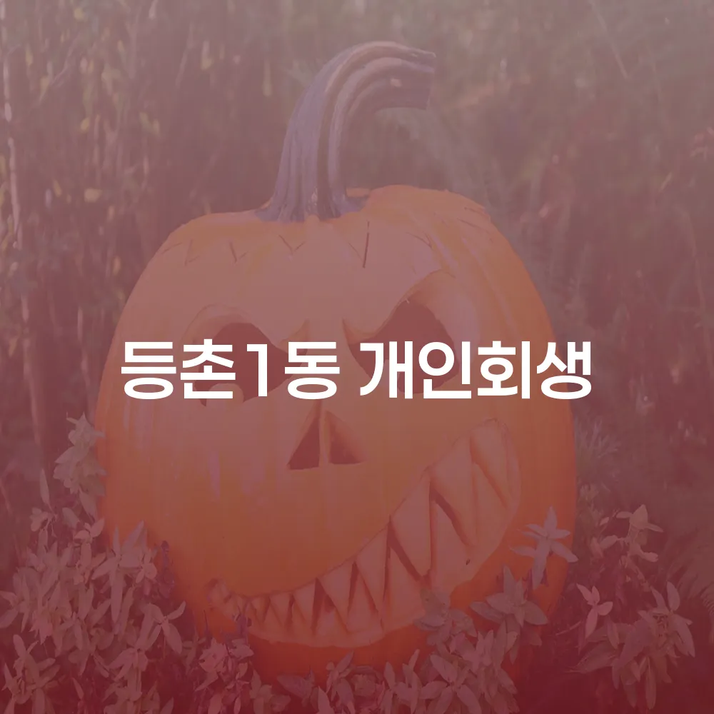 등촌1동 개인회생 절차 및 성공 전략