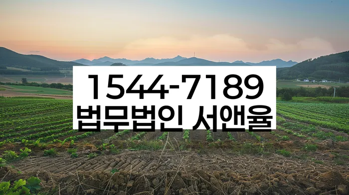 이태원1동 개인회생 사례