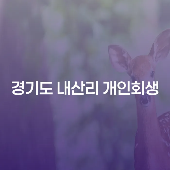 경기도 내산리에서 개인회생을 통해 새로운 시작을 할 수 있을까요?