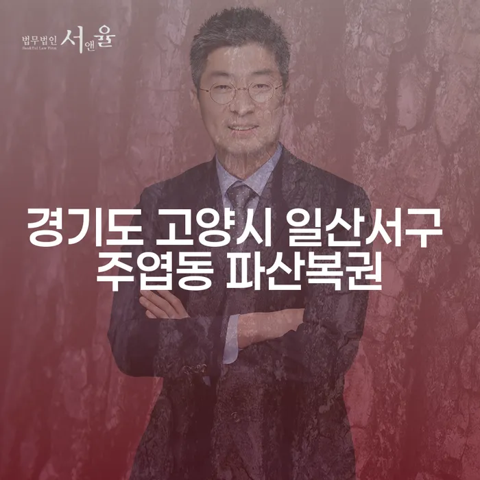 경기도 고양시 일산서구 주엽동 파산복권, 당신에게 적합한 대안은?