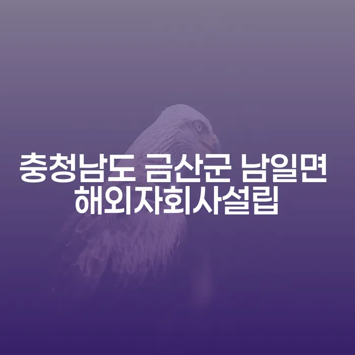 충청남도 금산군 남일면에서 해외자회사 설립과 급여 420만원 개인회생의 길 찾기