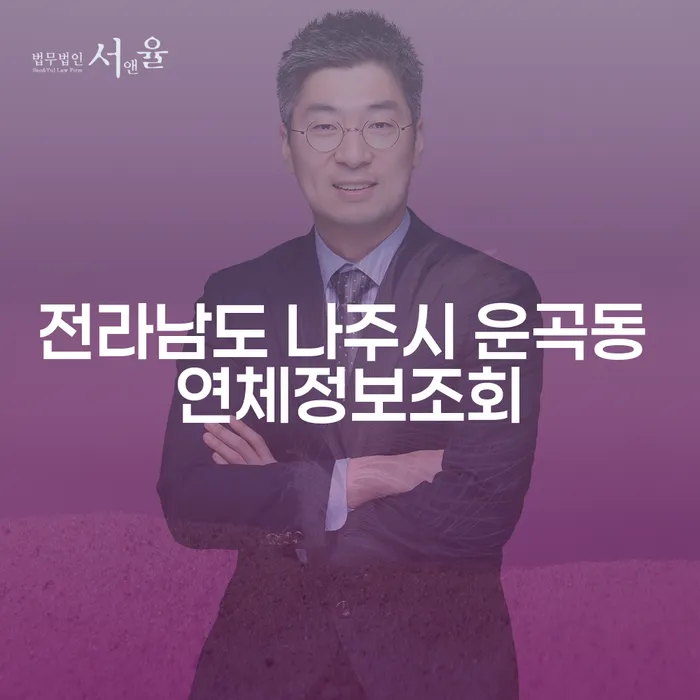 전라남도 나주시 운곡동에서 연체 정보 조회는 어떻게 할까요?