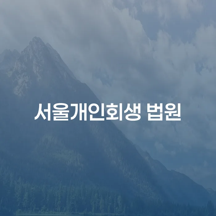 서울개인회생 법원에서의 개인회생 절차와 인가 후 장기렌트가 가능한가요?