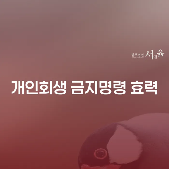 개인회생 금지명령 효력과 카드사용, 궁금한 점이 있나요?